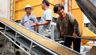永康舉辦2014年糧食機烘技術推廣現(xiàn)場會