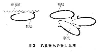 機械碾米的碾白原理