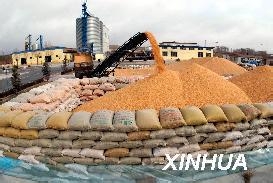 糧機(jī)品牌:助推糧食產(chǎn)業(yè)騰躍
